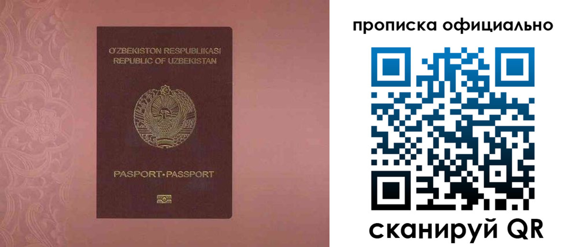 прописка гарантия в Бородино